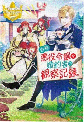 幻影旅团 里番推荐
